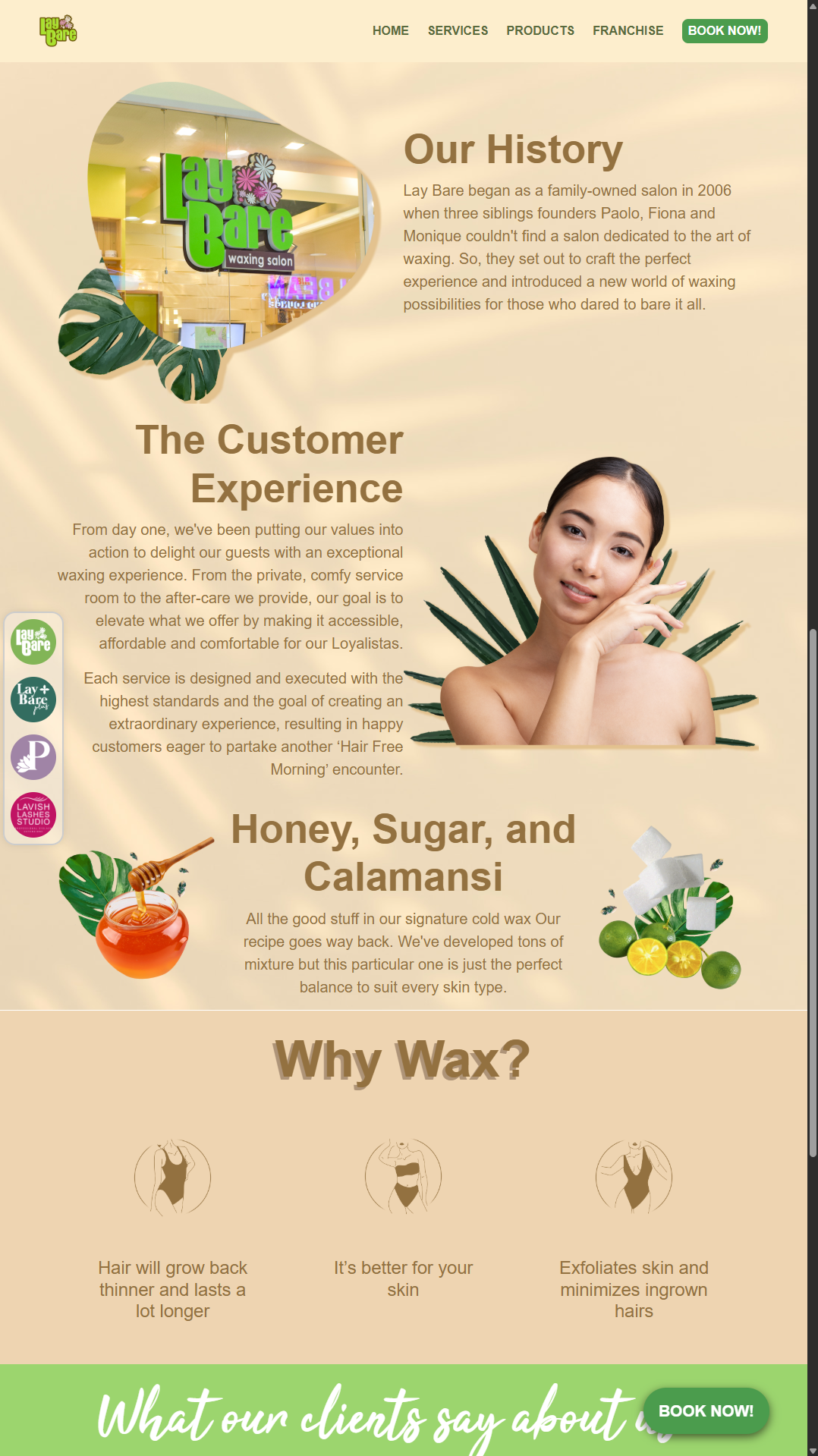 Lay Bare Website screenshot 2